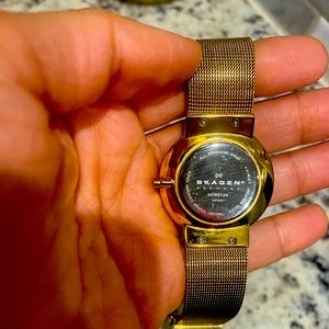 Skagen Gold Watch